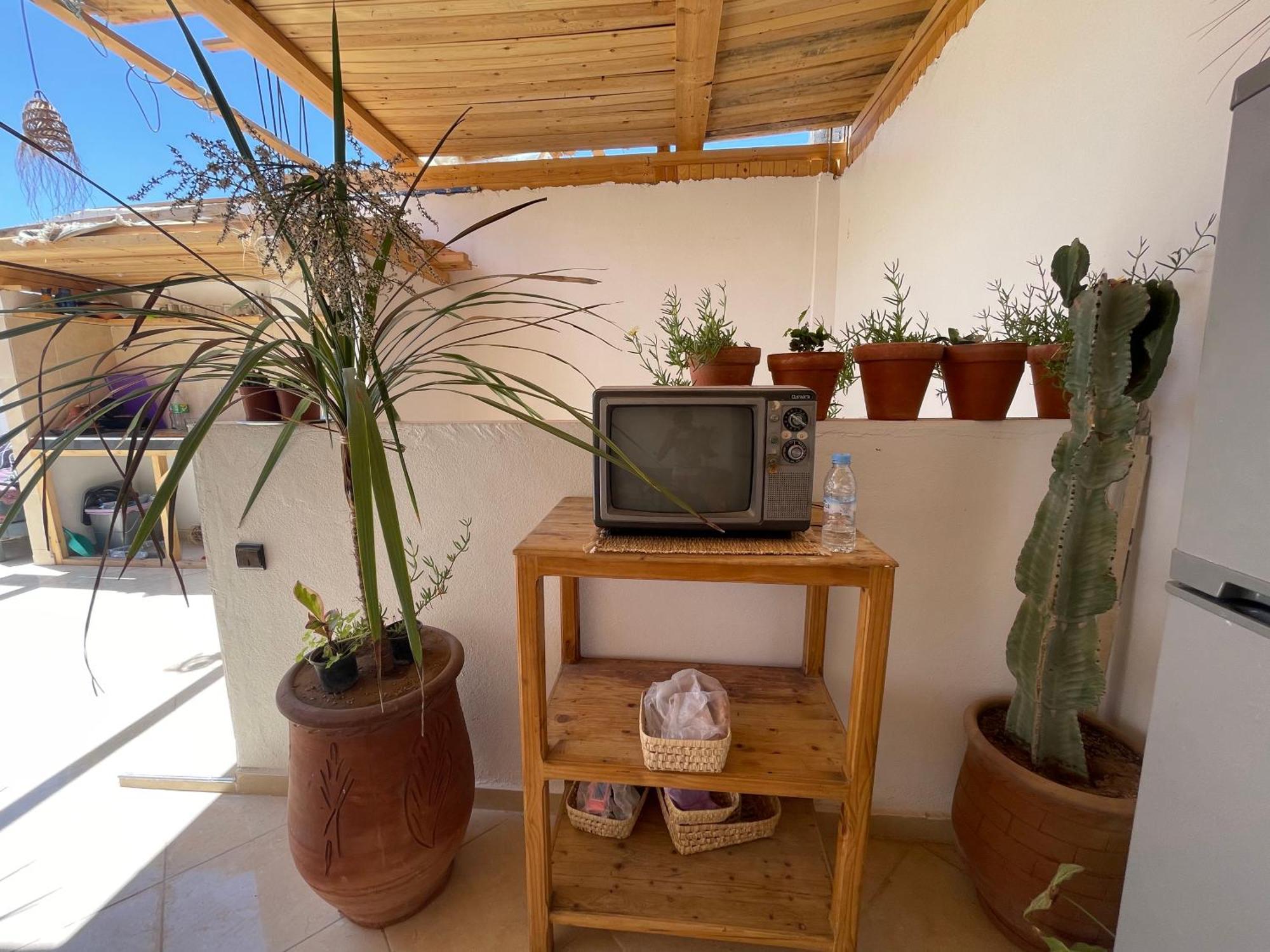 Hostel Jungle Surf House Taghazout Exteriér fotografie